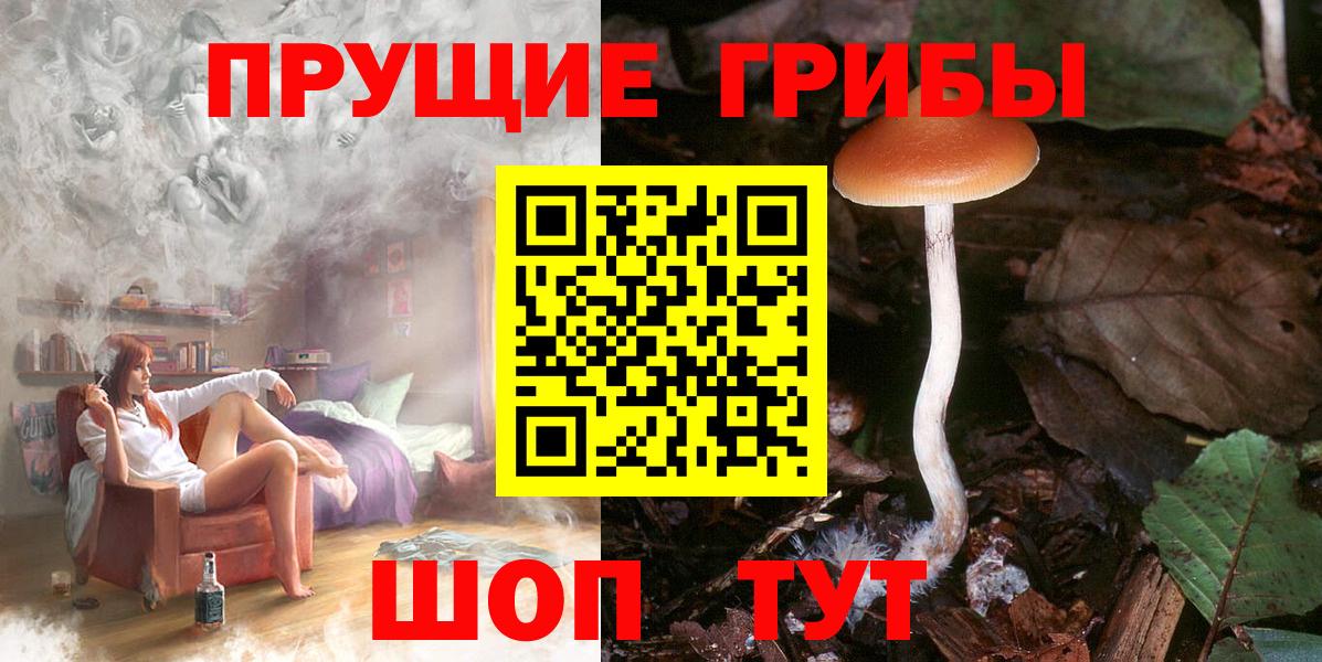 Галлюциногенные грибы Psilocybe  цены наркотик  Барнаул  Вход с VPN 