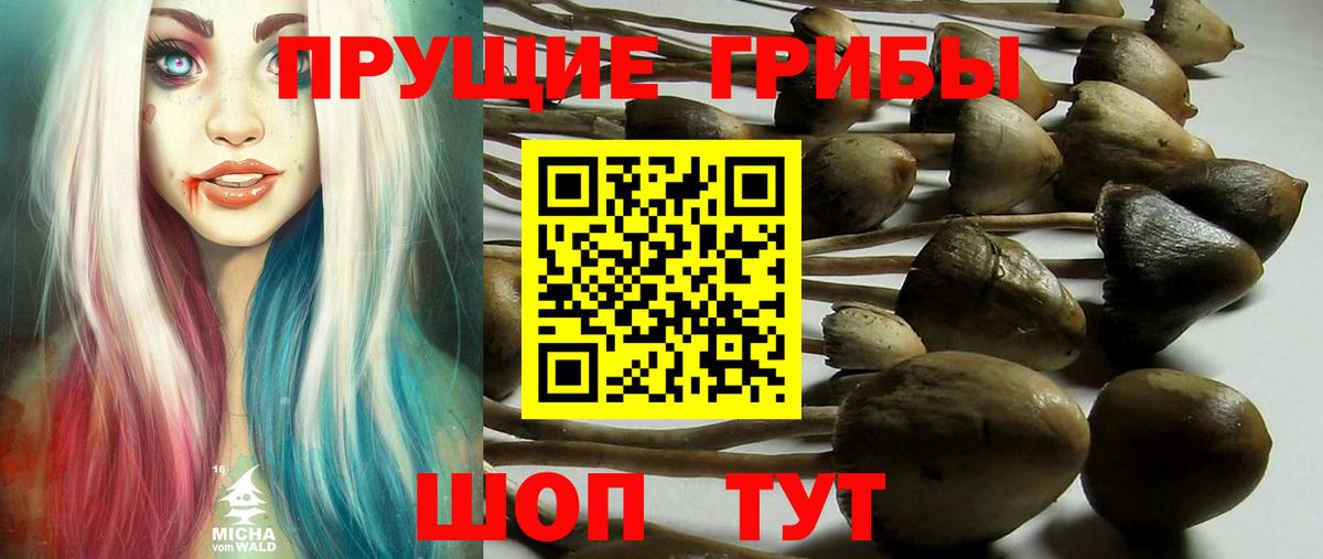 Галлюциногенные грибы GOLDEN TEACHER Барнаул